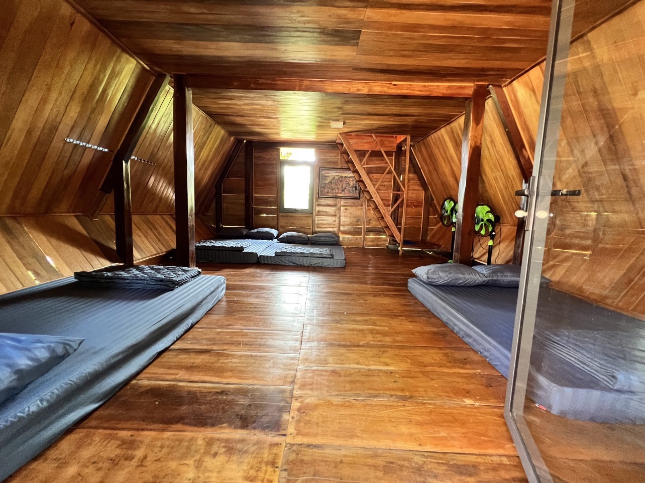 Bungalow Tập Thể